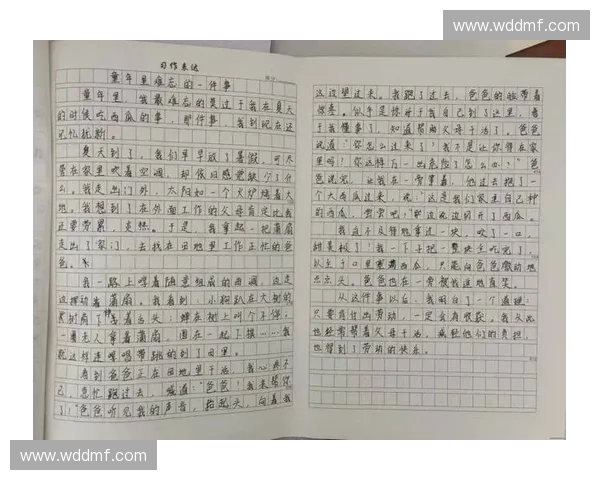 作文世界杯：全球青少年笔尖竞技展现创意与文化魅力